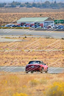 media/Nov-16-2024-Extreme Speed (Sat) [[6587d07cc4]]/Purple Group/Session 1 (Turn 2)/